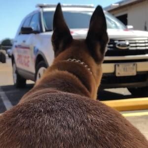 Meet your Posher, Sahara